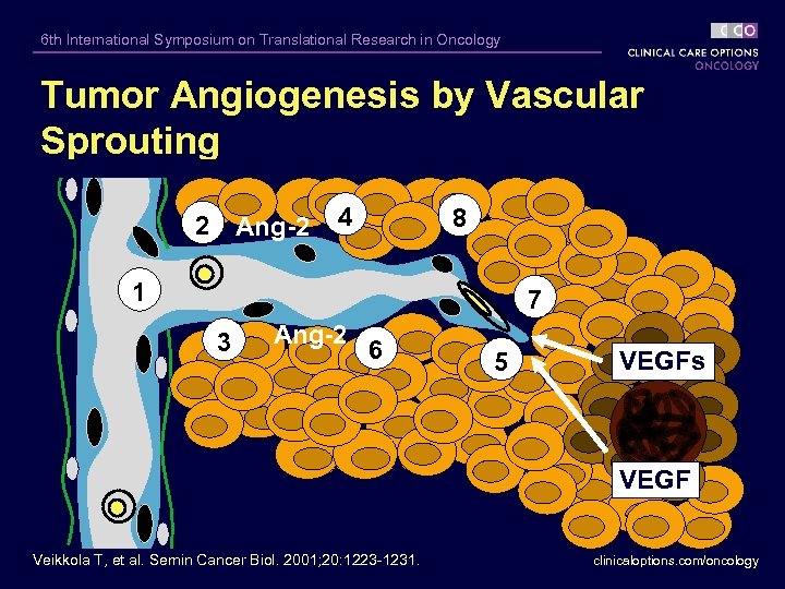 6 th International Symposium on Translational Research in Oncology Tumor Angiogenesis by Vascular Sprouting