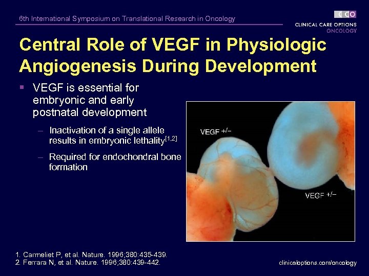 6 th International Symposium on Translational Research in Oncology Central Role of VEGF in