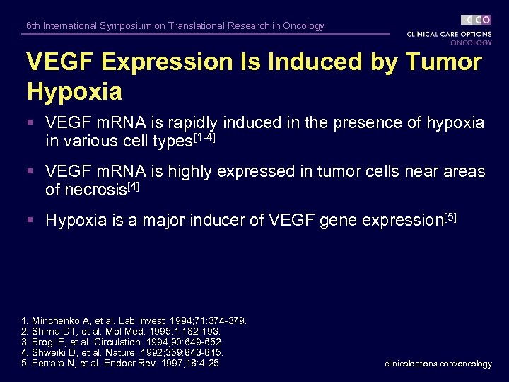 6 th International Symposium on Translational Research in Oncology VEGF Expression Is Induced by