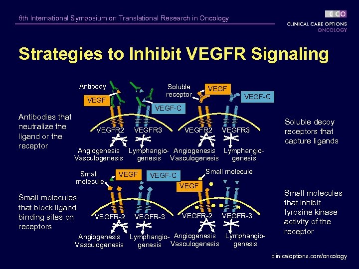 6 th International Symposium on Translational Research in Oncology Strategies to Inhibit VEGFR Signaling