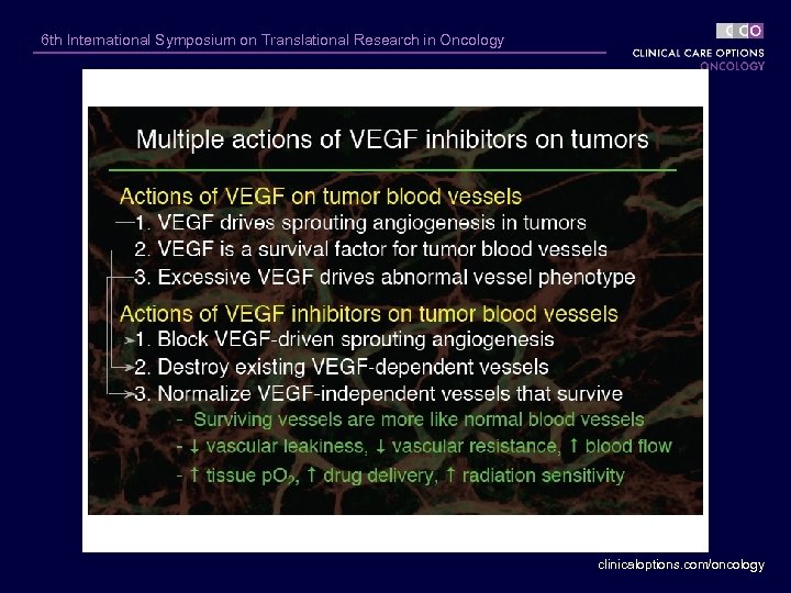 6 th International Symposium on Translational Research in Oncology clinicaloptions. com/oncology 