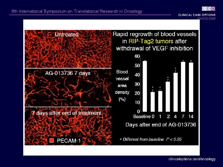 6 th International Symposium on Translational Research in Oncology clinicaloptions. com/oncology 