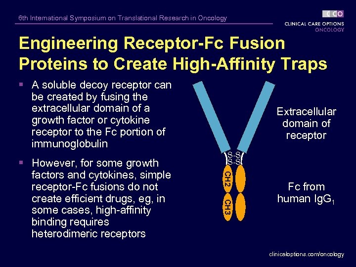 6 th International Symposium on Translational Research in Oncology Engineering Receptor-Fc Fusion Proteins to