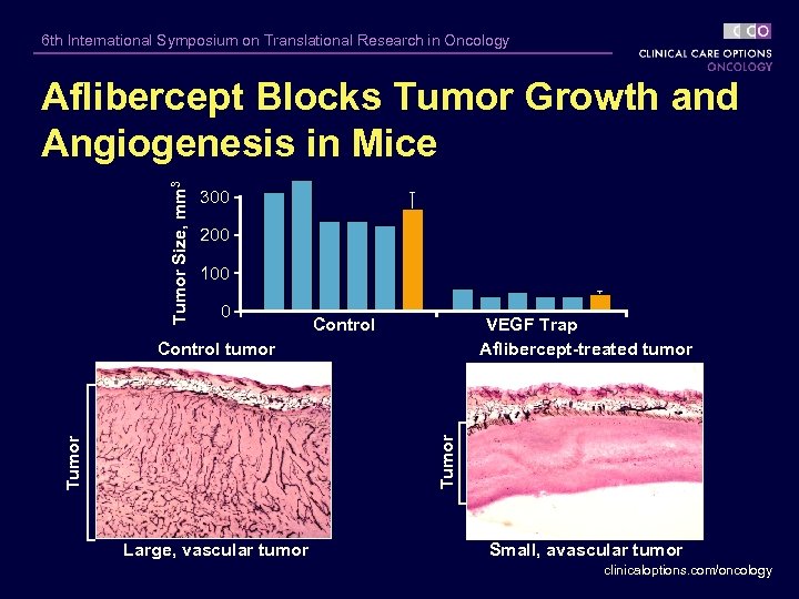 6 th International Symposium on Translational Research in Oncology Tumor Size, mm 3 Aflibercept