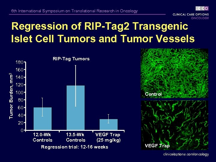 6 th International Symposium on Translational Research in Oncology Regression of RIP-Tag 2 Transgenic