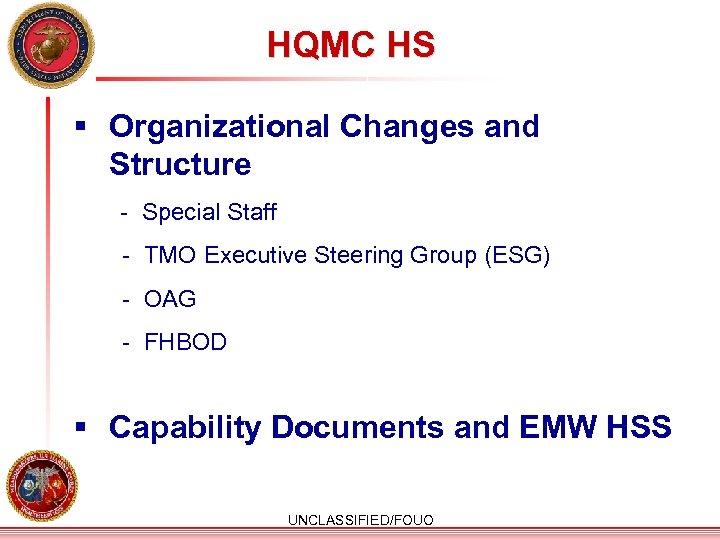 HQMC HS § Organizational Changes and Structure - Special Staff - TMO Executive Steering