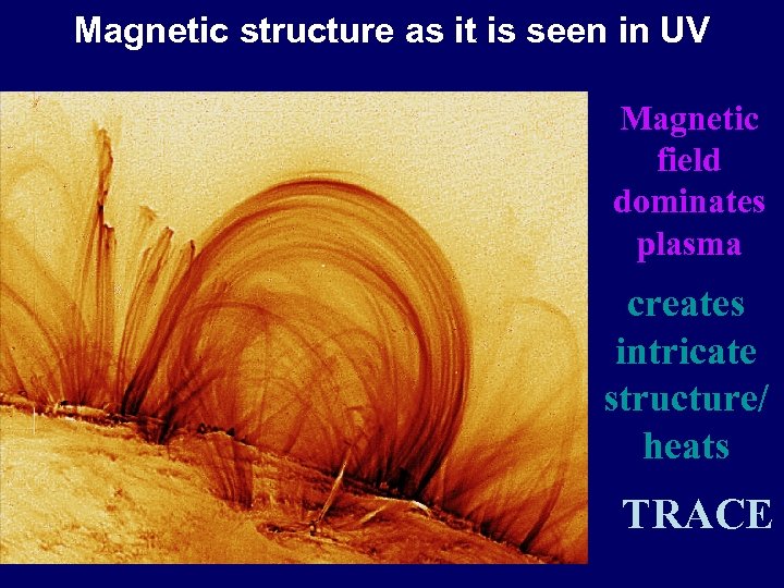 Magnetic structure as it is seen in UV Magnetic field dominates plasma creates intricate