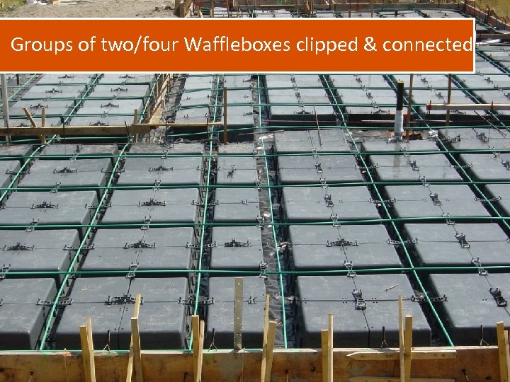 Groups of two/four Waffleboxes clipped & connected 