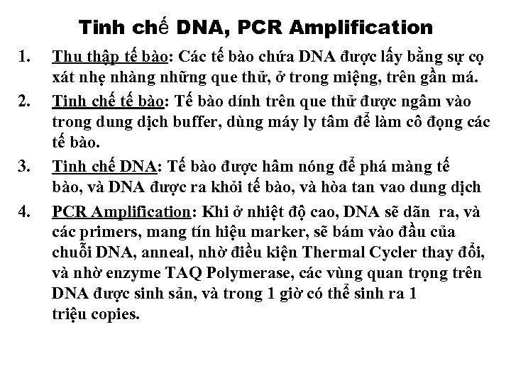 Tinh chế DNA, PCR Amplification 1. 2. 3. 4. Thu thập tế bào: Các