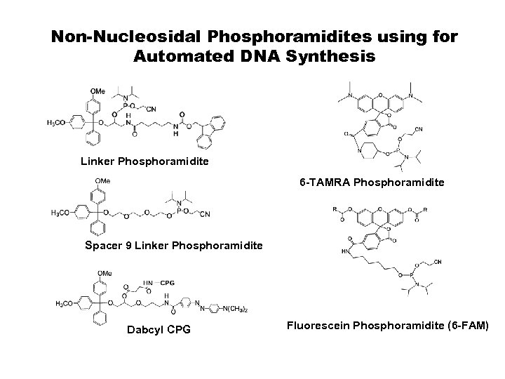 Non-Nucleosidal Phosphoramidites using for Automated DNA Synthesis Linker Phosphoramidite 6 -TAMRA Phosphoramidite Spacer 9