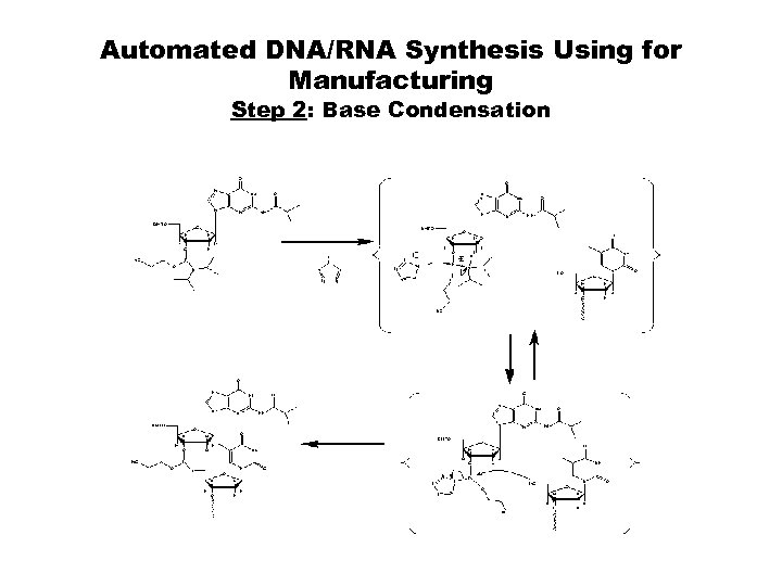 Automated DNA/RNA Synthesis Using for Manufacturing Step 2: Base Condensation 