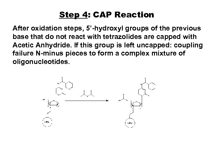 Step 4: CAP Reaction After oxidation steps, 5’-hydroxyl groups of the previous base that