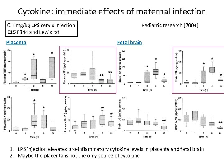 Cytokine: immediate effects of maternal infection 0. 1 mg/kg LPS cervix injection E 15