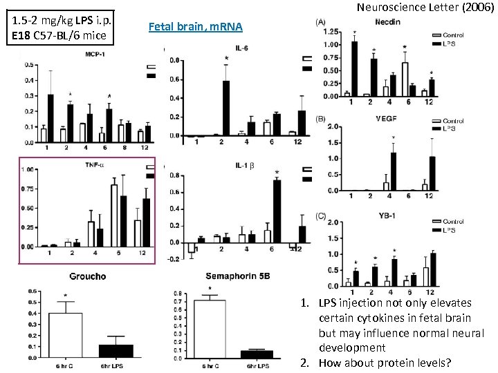 1. 5 -2 mg/kg LPS i. p. E 18 C 57 -BL/6 mice Neuroscience