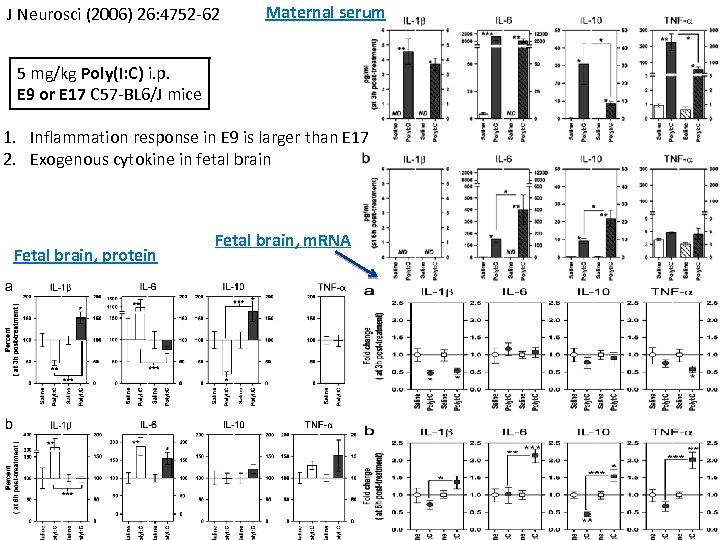 J Neurosci (2006) 26: 4752 -62 Maternal serum 5 mg/kg Poly(I: C) i. p.