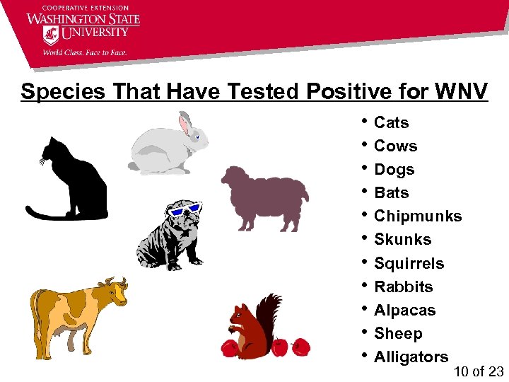 Species That Have Tested Positive for WNV • • • Cats Cows Dogs Bats