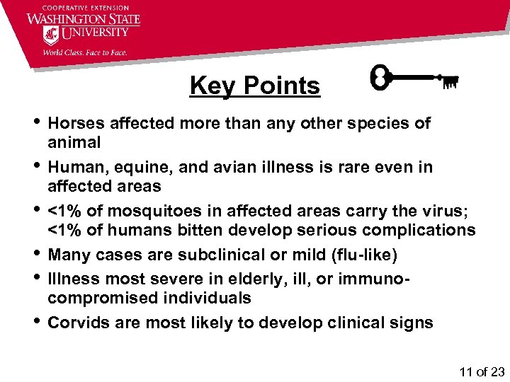 Key Points • Horses affected more than any other species of • • •