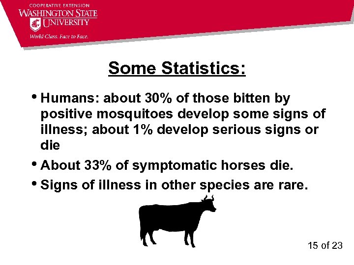 Some Statistics: • Humans: about 30% of those bitten by positive mosquitoes develop some