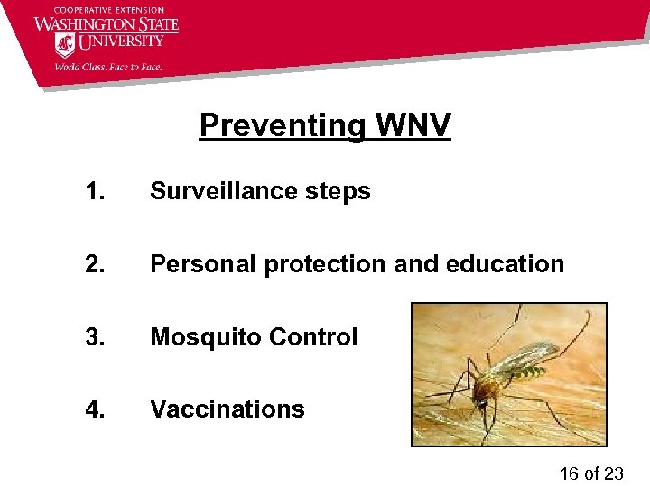 Preventing WNV 1. Surveillance steps 2. Personal protection and education 3. Mosquito Control 4.