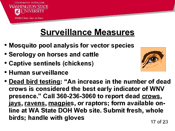 Surveillance Measures • Mosquito pool analysis for vector species • Serology on horses and