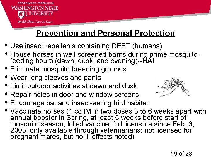 Prevention and Personal Protection • Use insect repellents containing DEET (humans) • House horses