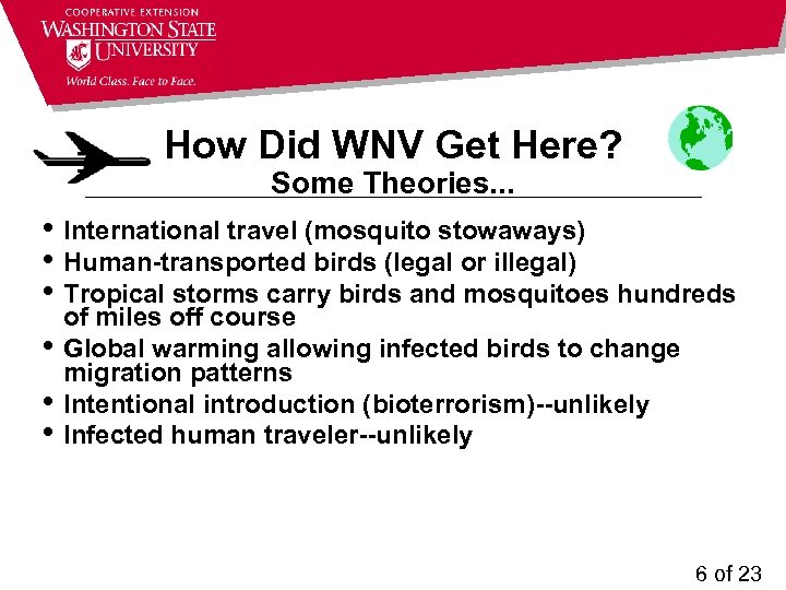 How Did WNV Get Here? Some Theories. . . • International travel (mosquito stowaways)