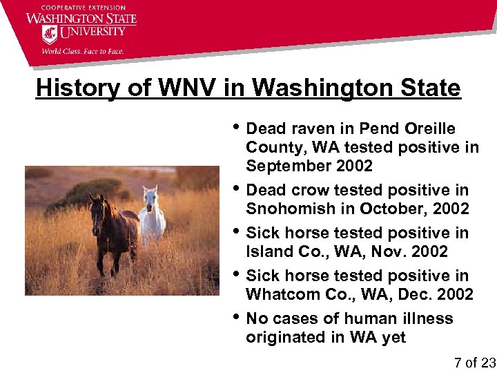 History of WNV in Washington State • Dead raven in Pend Oreille • •
