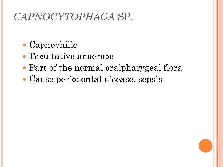 CAPNOCYTOPHAGA SP. Capnophilic Facultative anaerobe Part of the normal oralpharygeal flora Cause periodontal disease,