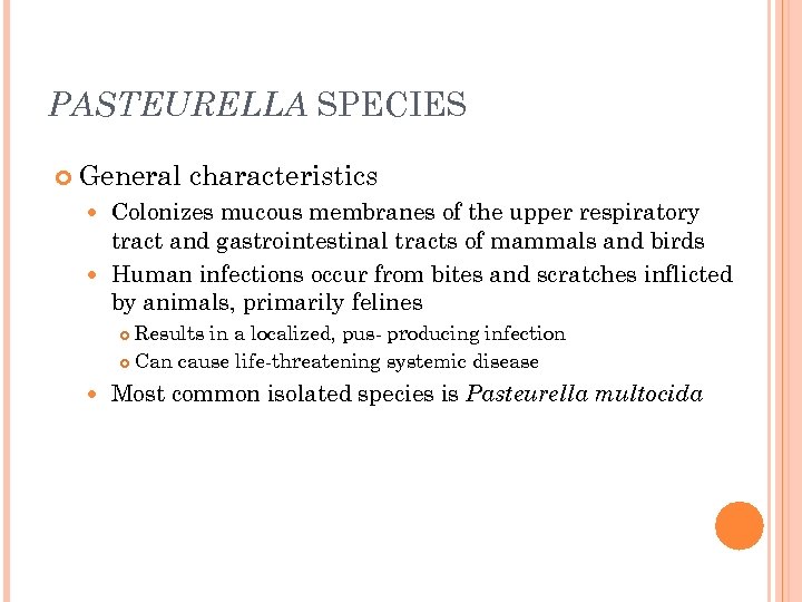 PASTEURELLA SPECIES General characteristics Colonizes mucous membranes of the upper respiratory tract and gastrointestinal