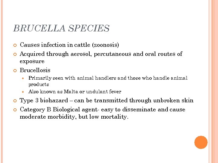 BRUCELLA SPECIES Causes infection in cattle (zoonosis) Acquired through aerosol, percutaneous and oral routes