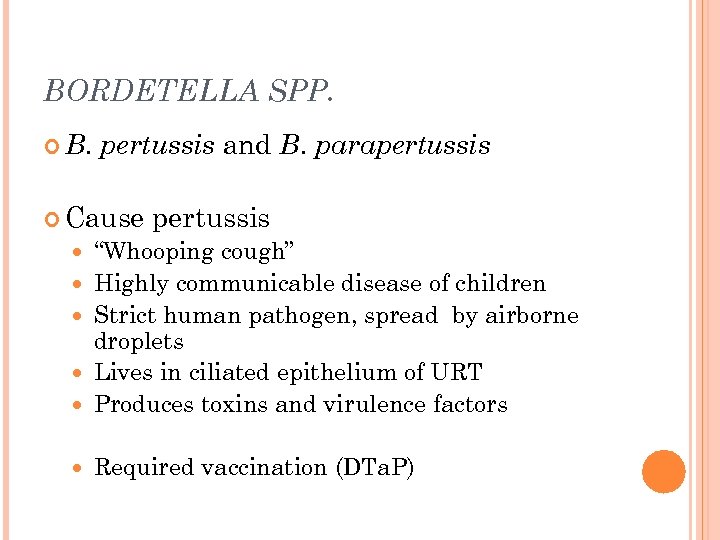 BORDETELLA SPP. B. pertussis and B. parapertussis Cause pertussis “Whooping cough” Highly communicable disease