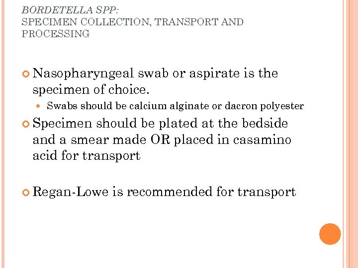 BORDETELLA SPP: SPECIMEN COLLECTION, TRANSPORT AND PROCESSING Nasopharyngeal swab or aspirate is the specimen