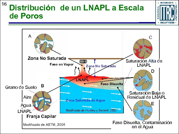 16 Distribución de un LNAPL a Escala de Poros A C Zona No Saturada