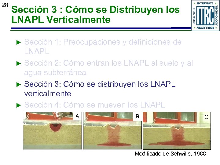 28 Sección 3 : Cómo se Distribuyen los LNAPL Verticalmente u u Sección 1: