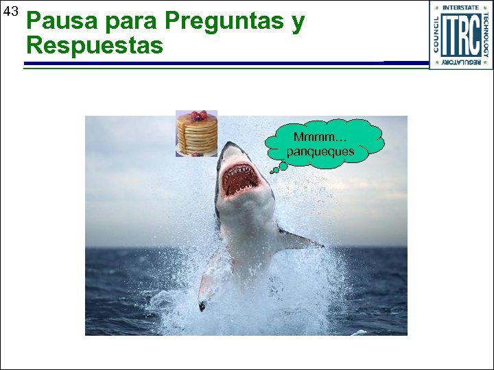 43 Pausa para Preguntas y Respuestas Mmmm… panqueques 