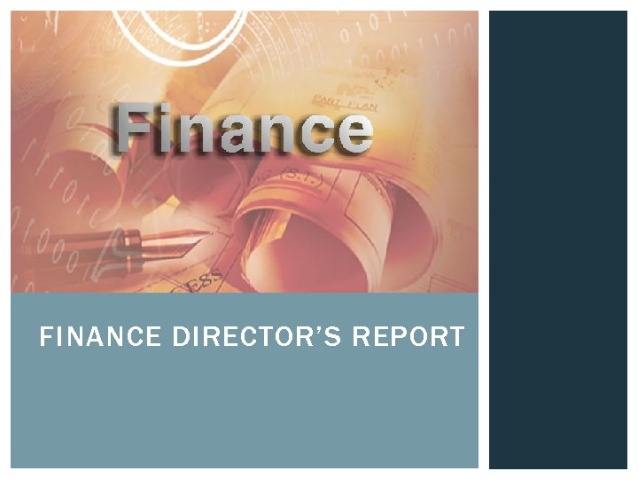 FINANCE DIRECTOR’S REPORT 
