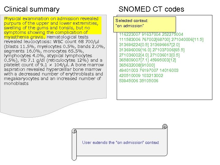 Clinical summary SNOMED CT codes Physical examination on admission revealed purpura of the upper