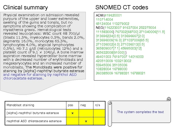 Clinical summary SNOMED CT codes Physical examination on admission revealed purpura of the upper
