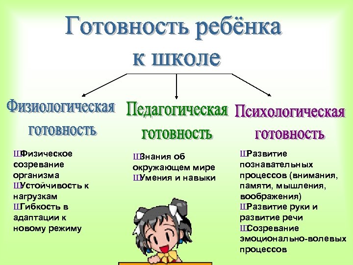 Ш Физическое созревание организма Ш Устойчивость к нагрузкам Ш Гибкость в адаптации к новому