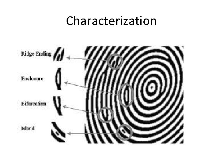 Characterization 