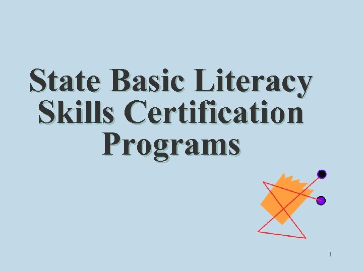State Basic Literacy Skills Certification Programs 1 