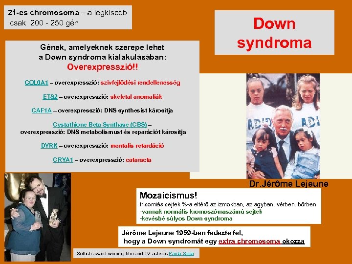 21 -es chromosoma – a legkisebb csak 200 - 250 gén Gének, amelyeknek szerepe