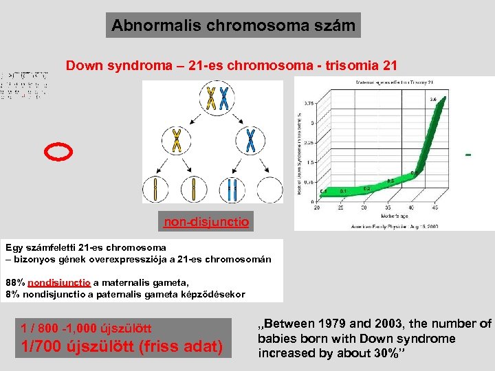 Abnormalis chromosoma szám Down syndroma – 21 -es chromosoma - trisomia 21 non-disjunctio Egy