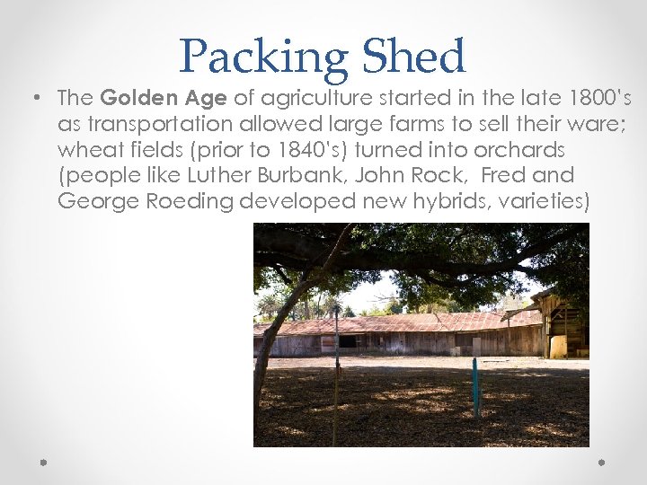 Packing Shed • The Golden Age of agriculture started in the late 1800’s as