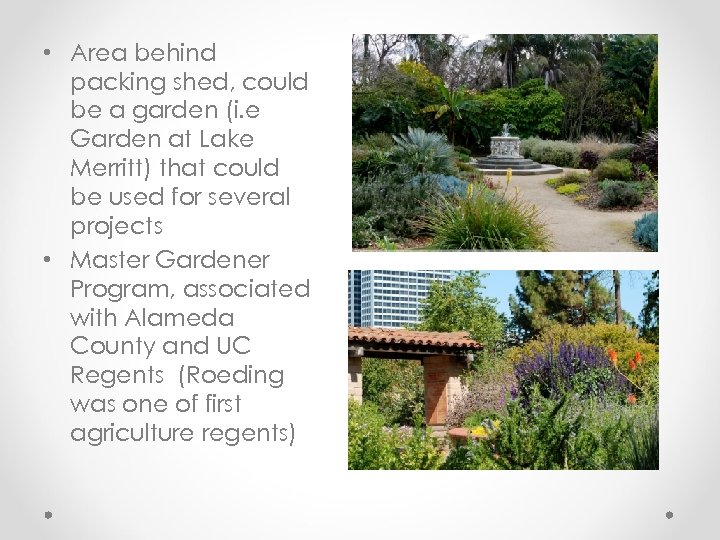  • Area behind packing shed, could be a garden (i. e Garden at