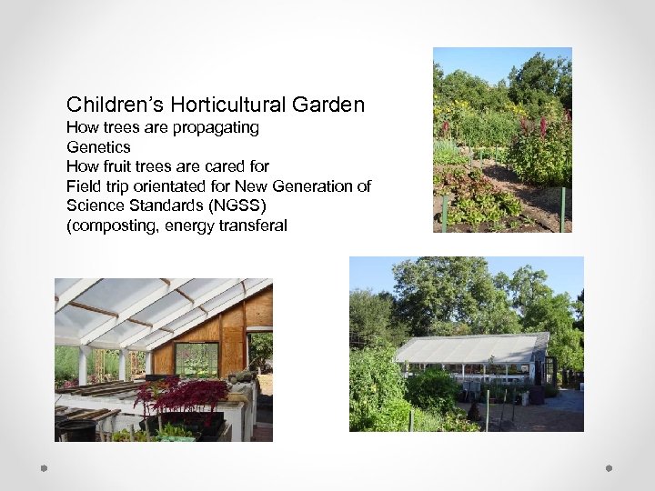 Children’s Horticultural Garden How trees are propagating Genetics How fruit trees are cared for