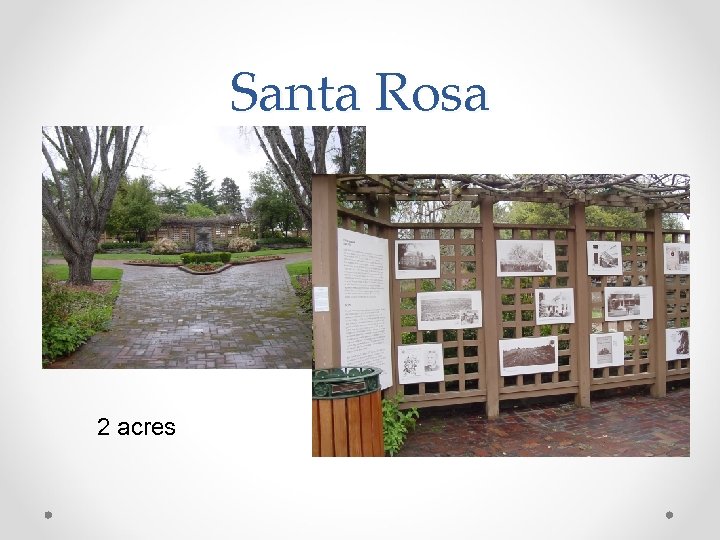 Santa Rosa 2 acres 