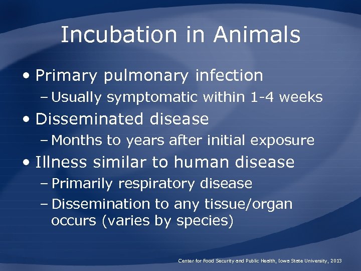Incubation in Animals • Primary pulmonary infection – Usually symptomatic within 1 -4 weeks