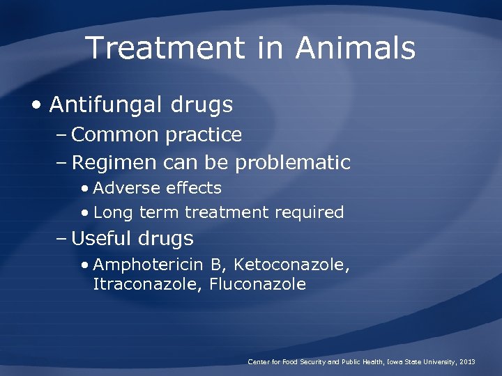 Treatment in Animals • Antifungal drugs – Common practice – Regimen can be problematic