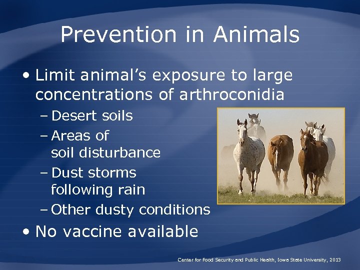 Prevention in Animals • Limit animal’s exposure to large concentrations of arthroconidia – Desert